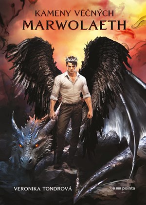 Obrázok Kameny věčných