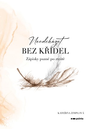 Obrázok Neodcházet bez křídel