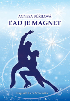 Obrázok Ľad je magnet