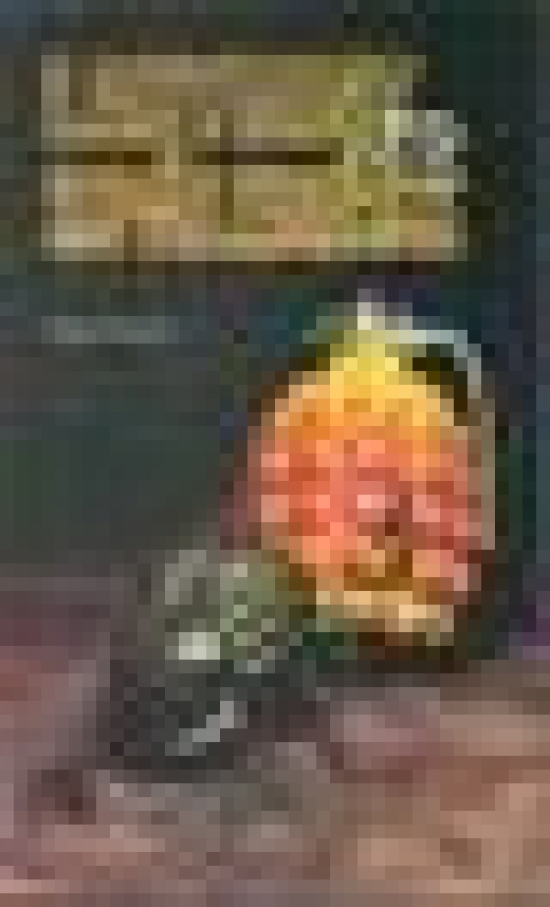 Obrázok Labyrint zo spálenísk