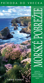 Obrázok Morské pobrežie