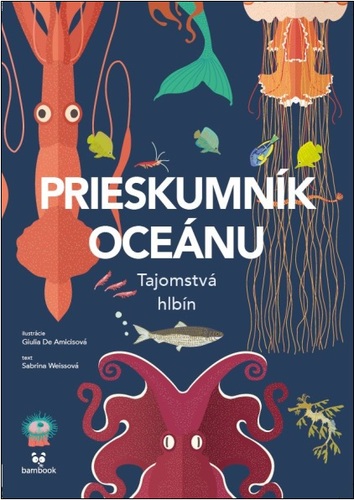 Obrázok Prieskumník oceánu