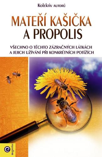 Obrázok Mateří kašička a propolis