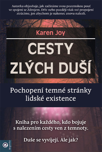 Obrázok Cesty zlých duší - Pochopení temné stránky lidské existence