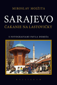 Obrázok Sarajevo - Čakanie na lastovičky
