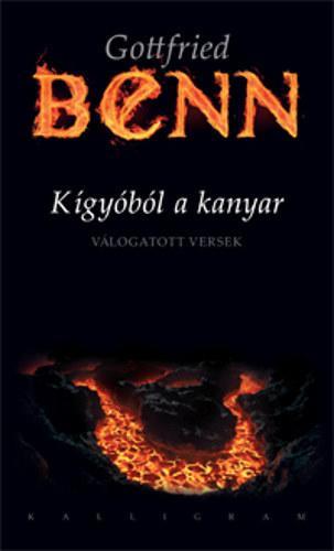 Obrázok Kígyóból a kanyar