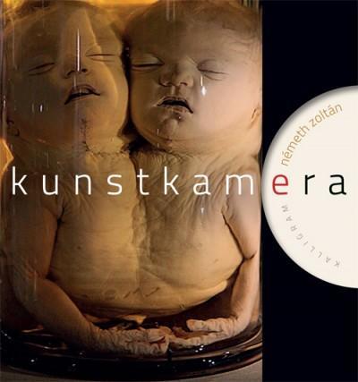 Obrázok Kunstkamera