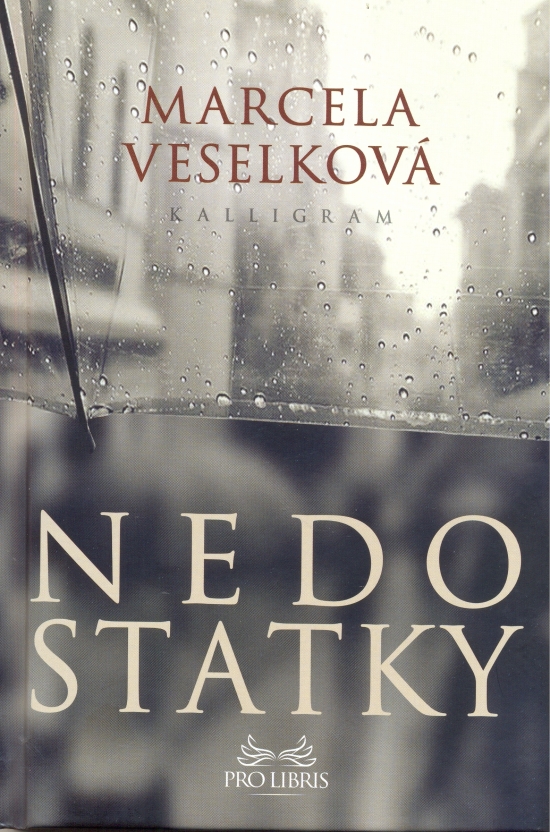 Obrázok Nedostatky