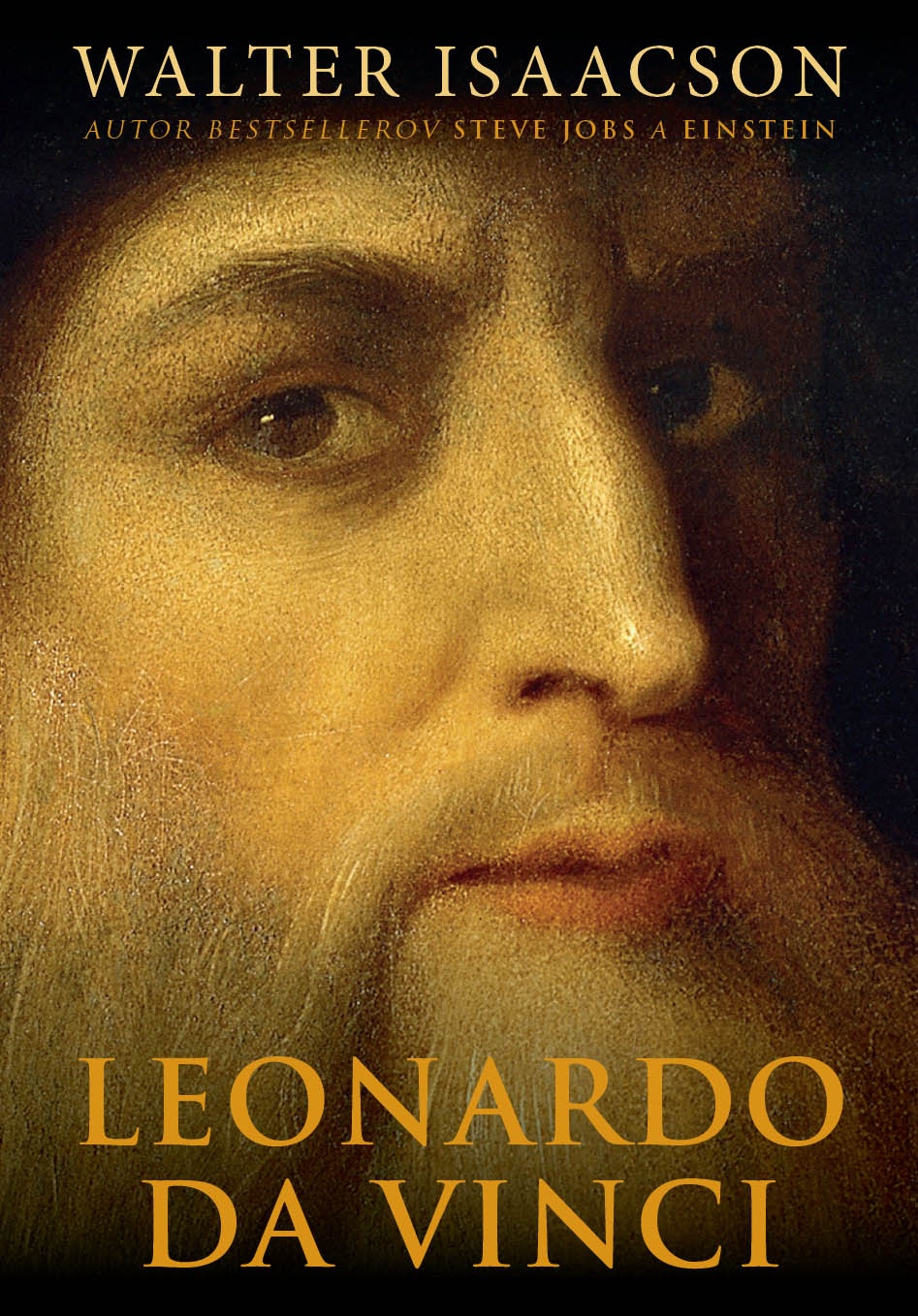 Obrazok Leonardo da Vinci
