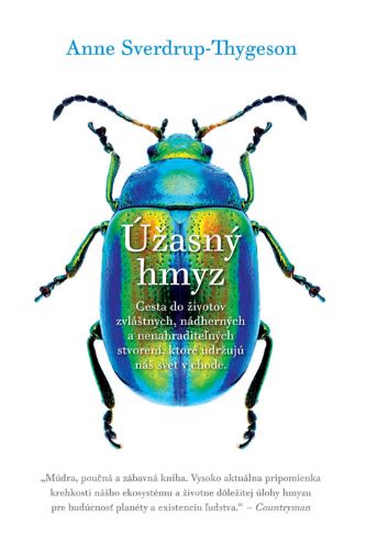 Obrazok Úžasný hmyz