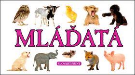 Obrázok Mláďatá - leporelo ( Slovart-Print)