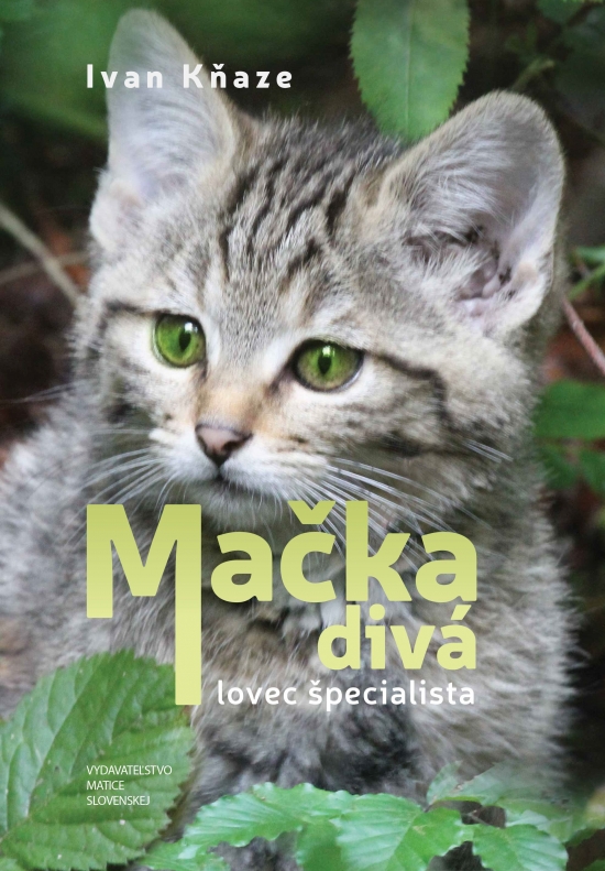 Obrázok Mačka divá – lovec špecialista