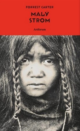 Obrázok Malý strom