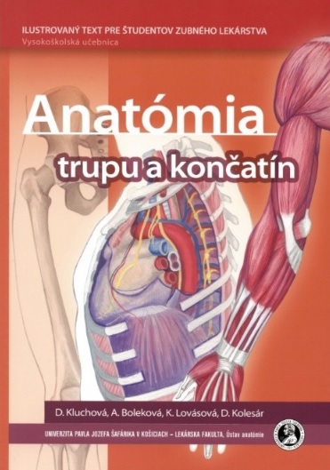 Obrazok Anatómia trupu a končatín