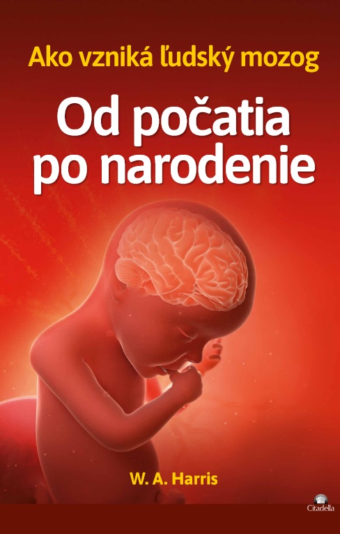 Obrazok Od počatia po narodenie - Ako vzniká ľudský mozog