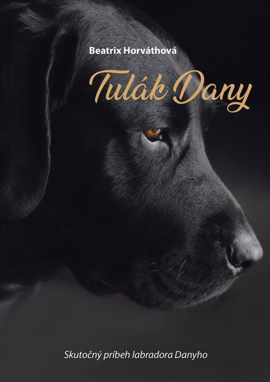 Obrázok Tulák Dany