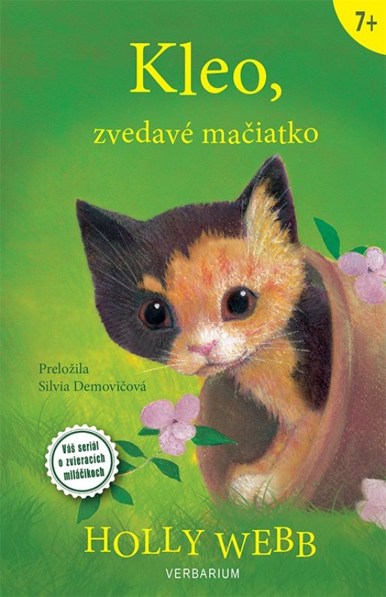 Obrázok Kleo, zvedavé mačiatko