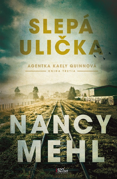 Obrázok Slepá ulička - Agentka Kaely Quinnová 3.diel