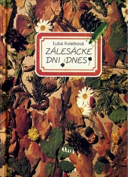 Obrázok Zálesácke dni dnes