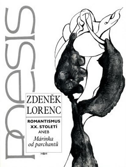 Obrázok Romantismus XX. století aneb Márinka od parchantů