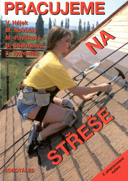 Obrázok Pracujeme na střeše
