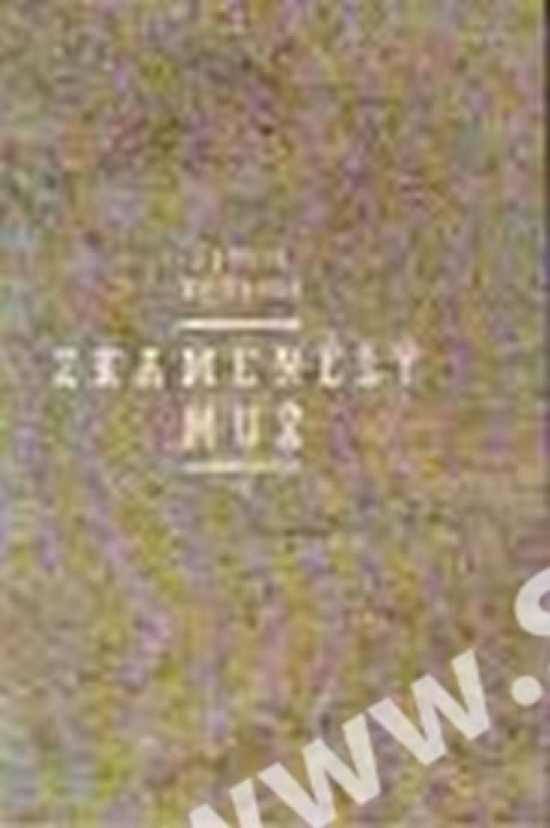 Obrázok Zkamenělý muž