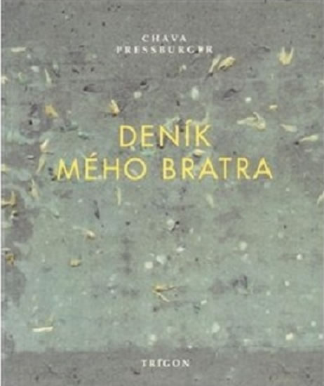 Obrázok Deník mého bratra