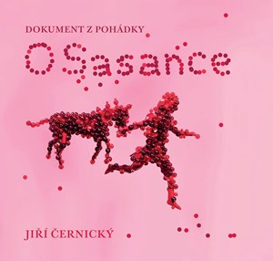 Obrázok O Sasance - Dokument z pohádky
