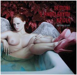 Obrázok Démoni s andělskými křídly