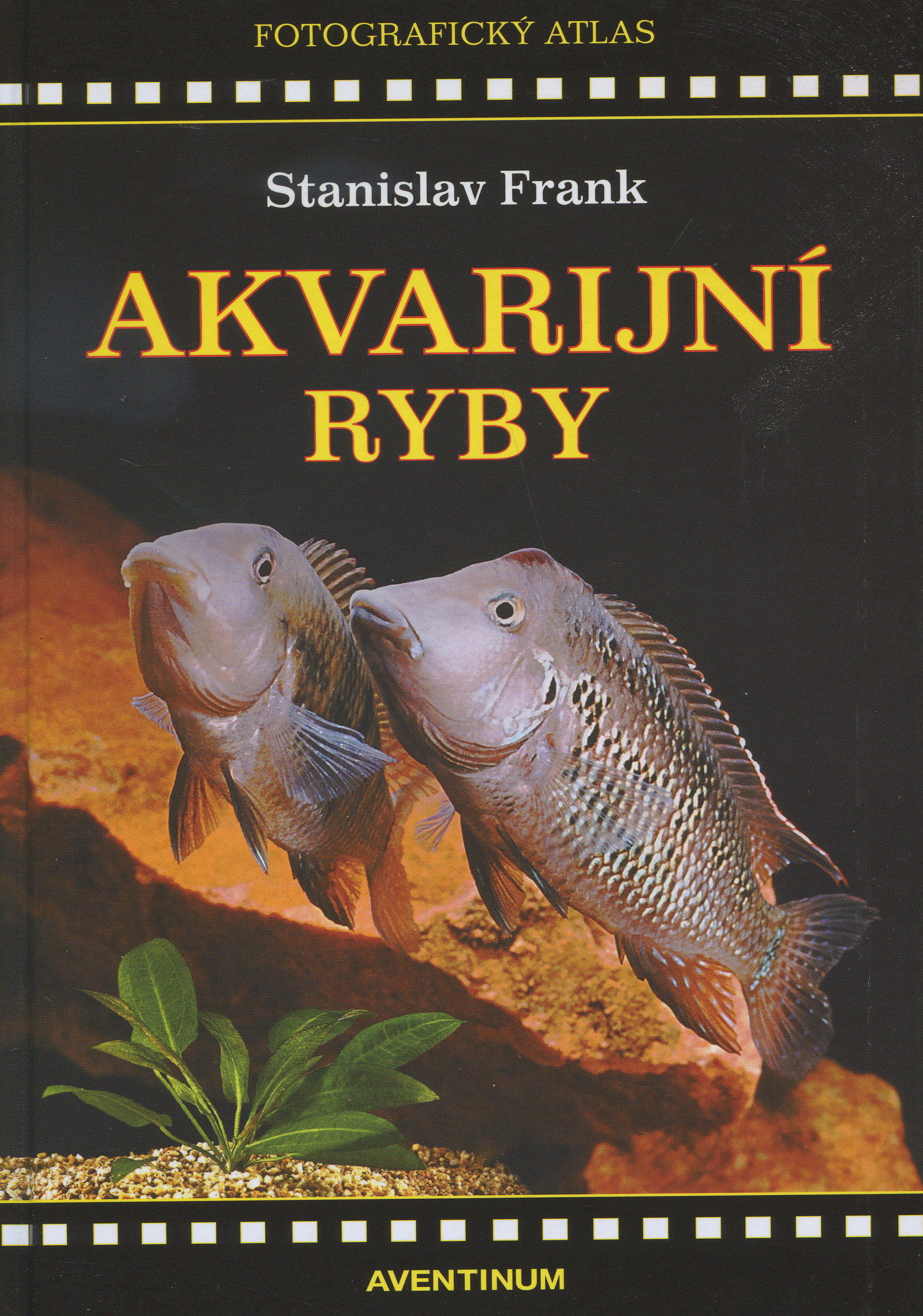 Obrazok Akvarijní ryby
