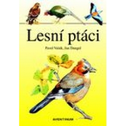 Obrazok Lesní ptáci