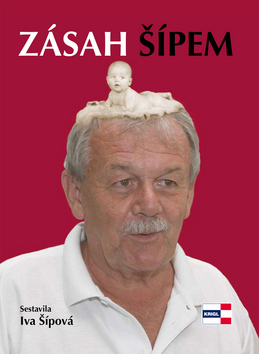 Obrázok Zásah Šípem