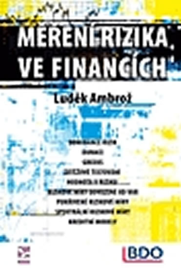 Obrázok Měření rizika ve financích