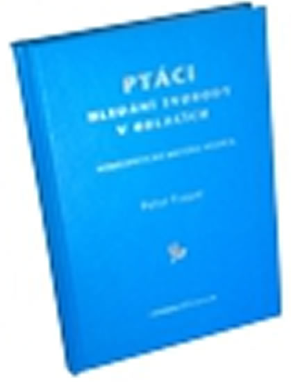 Obrázok Ptáci - hledání svobody v oblacích