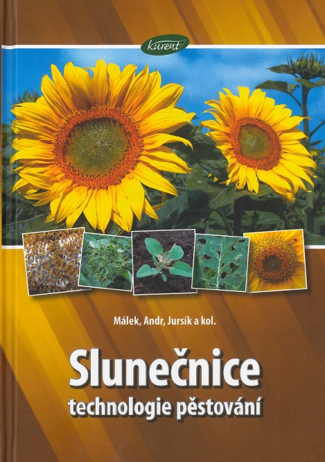 Obrazok Slunečnice - technologie pěstování