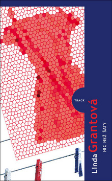 Obrázok Nic než šaty