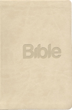 Obrázok BIBLE překlad 21. století - šedá