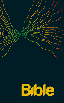 Obrázok BIBLE překlad 21. století - XL + ilustrace Aleše Lamra