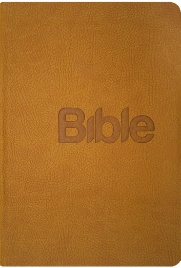 Obrázok Bible, překlad 21. století (Gold kůže)