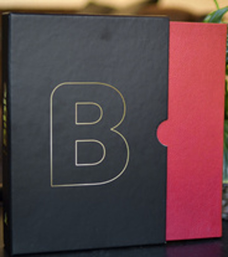 Obrázok Bible21 XL Bordeaux