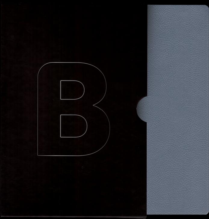 Obrázok Bible21 XL Sky