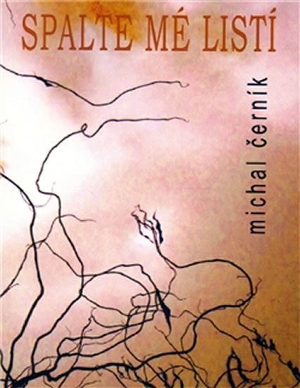 Obrázok Spalte mé listí