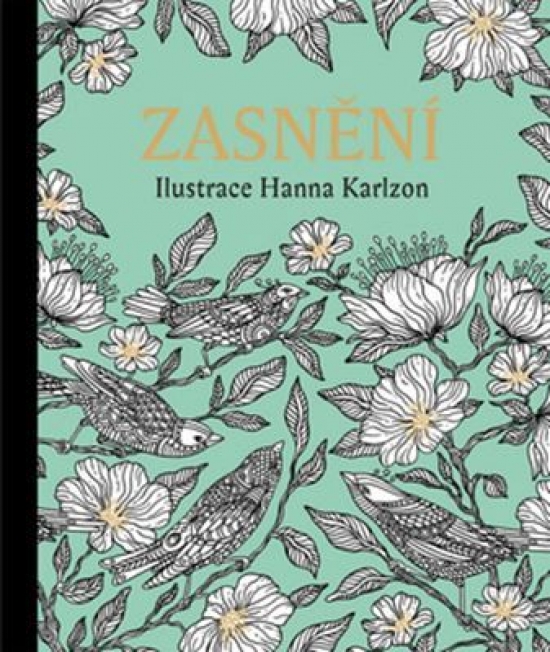 Obrázok Zasnění - Antistresové omalovánky