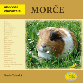 Obrázok Morče - Abeceda chovatele