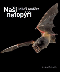 Obrazok Naši netopýři