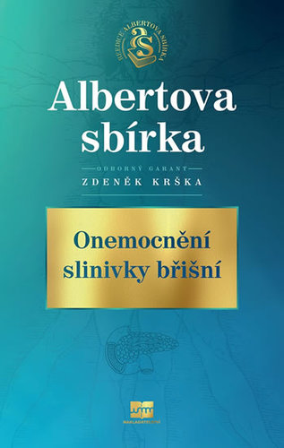 Obrázok Onemocnění slinivky břišní