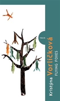 Obrázok Flying foxes