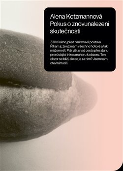 Obrazok Pokus o znovunalezení skutečnosti