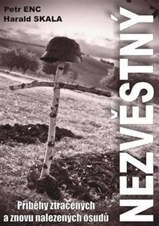 Obrázok Nezvěstný - Příběhy ztracených a znovu nalezených příběhů