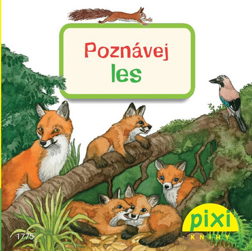 Obrázok Poznávej les